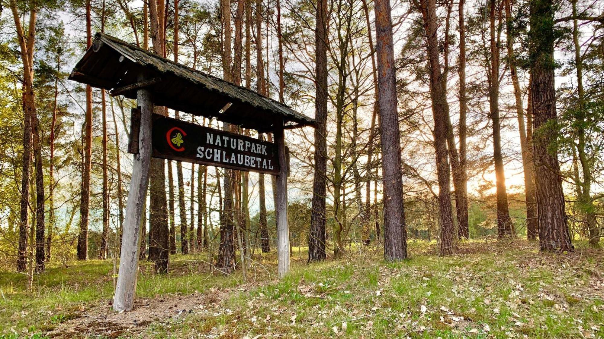 Naturnahe Gaestewohnung Im Heidelandhaus Henzendorf Neuzelle Exterior foto